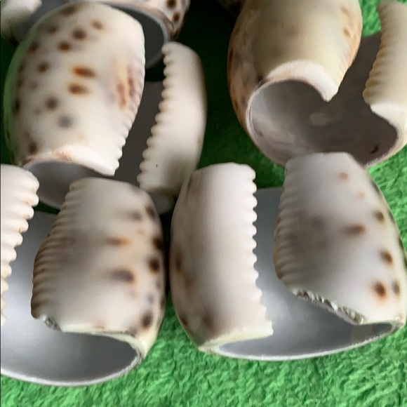 Vintage Seashell set of 7 napkin rings - Picture 16 of 16